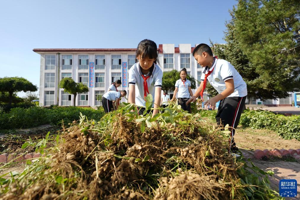 菠菜推荐论坛